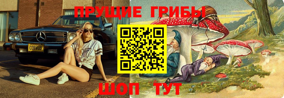Альфа ПВП Вологда