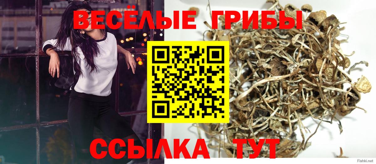 Вологда  Галлюциногенные грибы ЛСД  Вход с VPN 