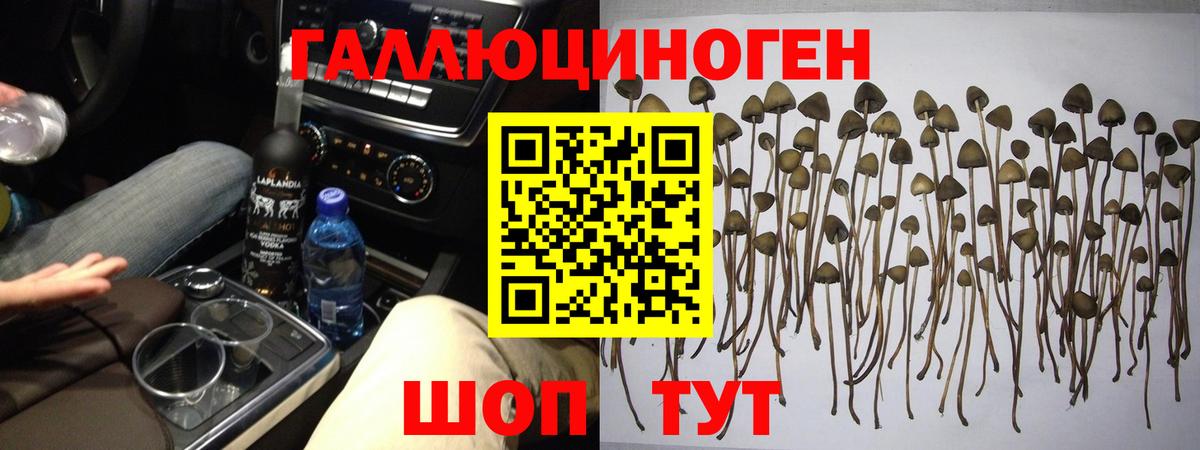 Псилоцибиновые грибы мухоморы Вологда